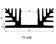 75 ASE